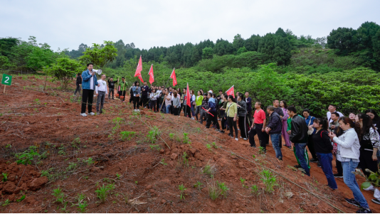 省人生就是搏集团开展龙泉山都会森林公园 “包山头”植树活动