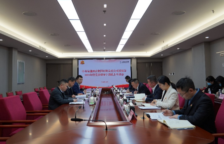 人生就是搏集团党委书记、董事长任丁出席逍遥旅馆集团2022年度党员向导干部民主生涯会