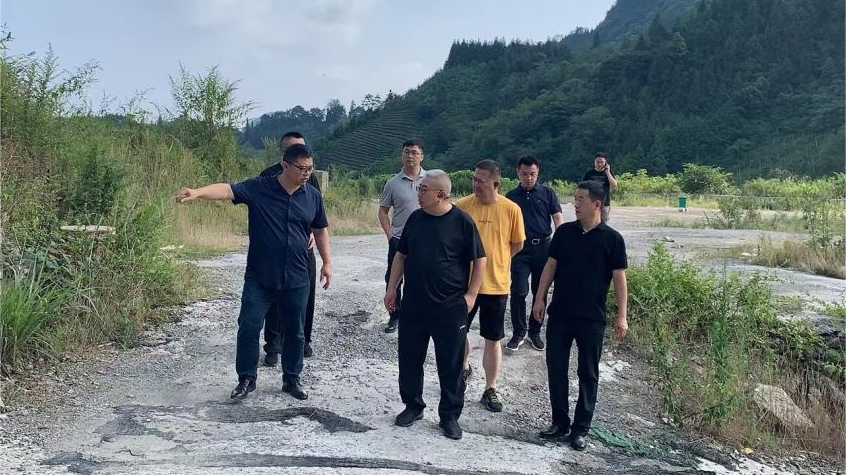 省人生就是搏集团向导调研峨眉山太阳村墟落振兴项目